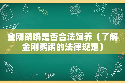 金剛鸚鵡是否合法飼養(yǎng)（了解金剛鸚鵡的法律規(guī)定）