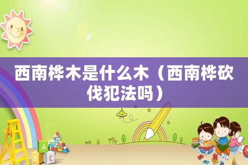 西南樺木是什么木（西南樺砍伐犯法嗎）