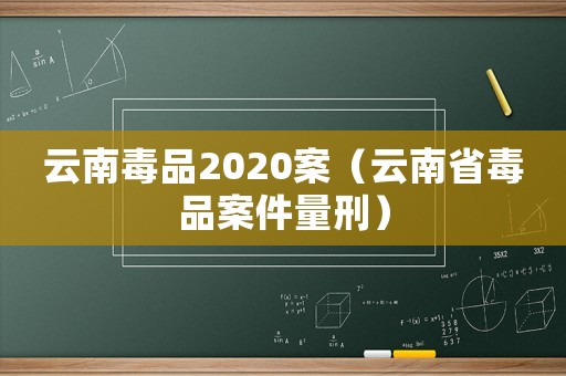 云南毒品2020案（云南省毒品案件量刑）