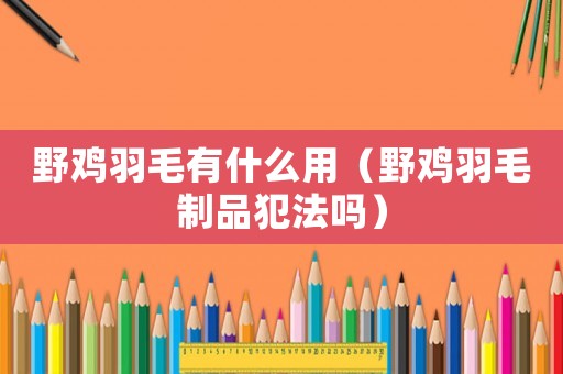 野雞羽毛有什么用（野雞羽毛制品犯法嗎）
