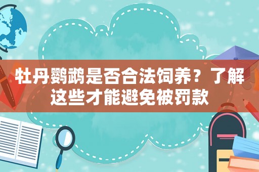 牡丹鸚鵡是否合法飼養？了解這些才能避免被罰款
