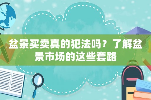 盆景買賣真的犯法嗎？了解盆景市場的這些套路