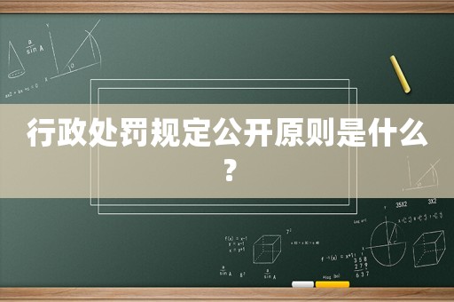 行政處罰規定公開原則是什么？