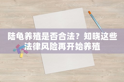 陸龜養(yǎng)殖是否合法？知曉這些法律風(fēng)險再開始養(yǎng)殖