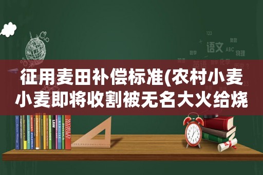 征用麥田補償標準(農村小麥小麥即將收割被無名大火給燒啦，能尋求補償嗎？)