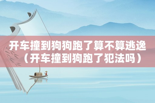 開車撞到狗狗跑了算不算逃逸（開車撞到狗跑了犯法嗎）