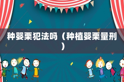 種嬰栗犯法嗎（種植嬰栗量刑）