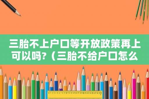 三胎不上戶口等開放政策再上可以嗎?（三胎不給戶口怎么定罪）