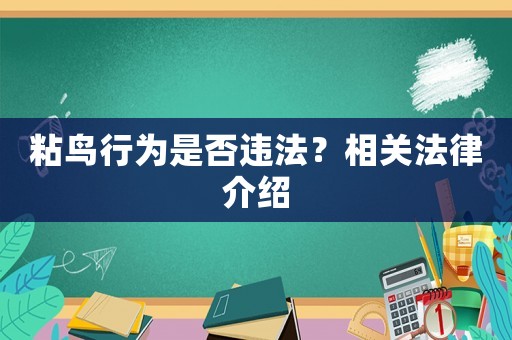 粘鳥行為是否違法？相關法律介紹