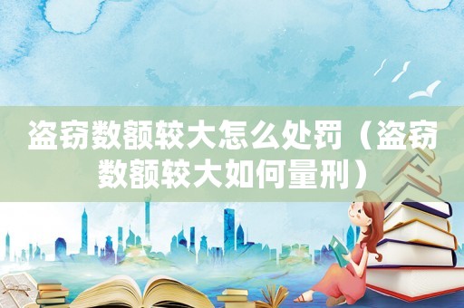 盜竊數額較大怎么處罰（盜竊數額較大如何量刑）