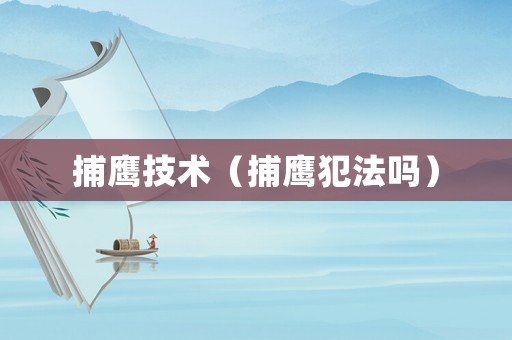 捕鷹技術（捕鷹犯法嗎）