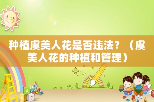 種植虞美人花是否違法？（虞美人花的種植和管理）