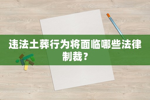 違法土葬行為將面臨哪些法律制裁？