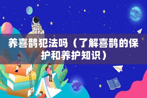 養喜鵲犯法嗎（了解喜鵲的保護和養護知識）