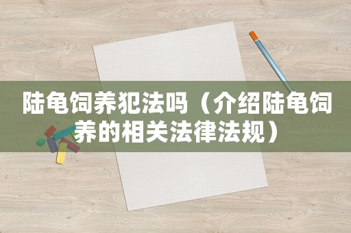 陸龜飼養犯法嗎（介紹陸龜飼養的相關法律法規）