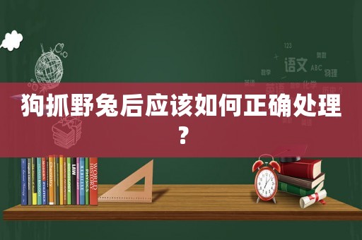 狗抓野兔后應該如何正確處理？