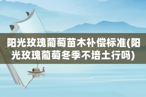 陽光玫瑰葡萄苗木補償標準(陽光玫瑰葡萄冬季不培土行嗎)