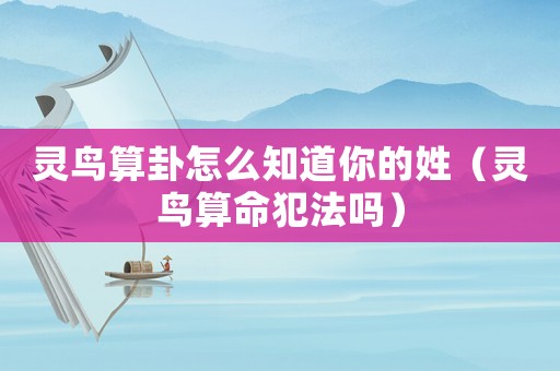 靈鳥算卦怎么知道你的姓（靈鳥算命犯法嗎）