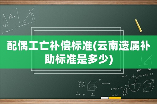 配偶工亡補償標準(云南遺屬補助標準是多少)