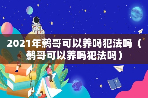 2021年鷯哥可以養嗎犯法嗎（鷯哥可以養嗎犯法嗎）