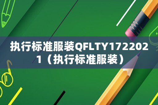執行標準服裝QFLTY1722021（執行標準服裝）