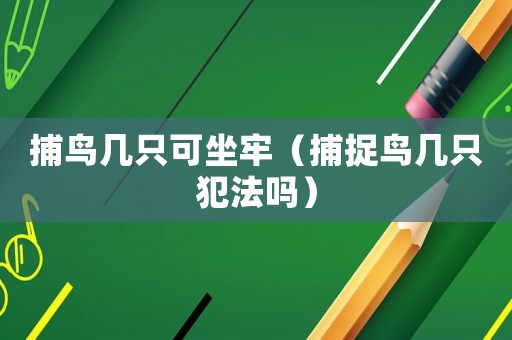 捕鳥幾只可坐牢（捕捉鳥幾只犯法嗎）