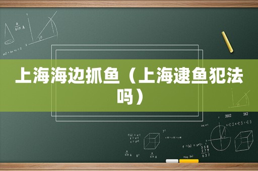上海海邊抓魚（上海逮魚犯法嗎）