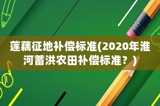 蓮藕征地補償標準(2020年淮河蓄洪農(nóng)田補償標準？)