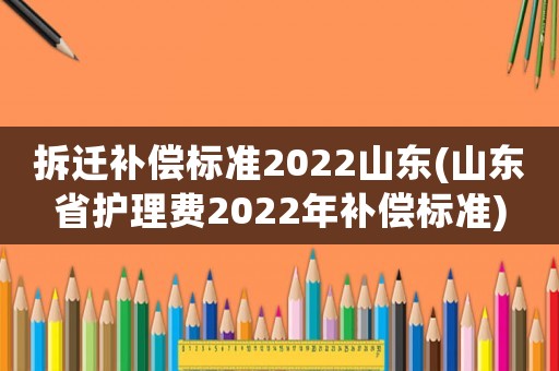 拆遷補(bǔ)償標(biāo)準(zhǔn)2022山東(山東省護(hù)理費(fèi)2022年補(bǔ)償標(biāo)準(zhǔn))