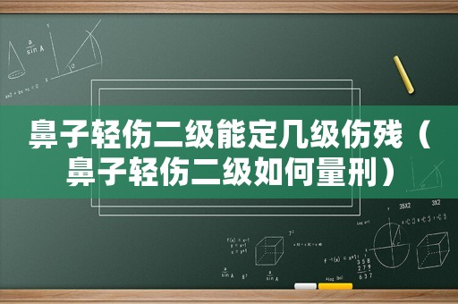 鼻子輕傷二級能定幾級傷殘（鼻子輕傷二級如何量刑）