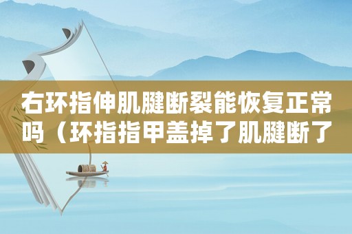 右環指伸肌腱斷裂能恢復正常嗎（環指指甲蓋掉了肌腱斷了算幾級工傷）