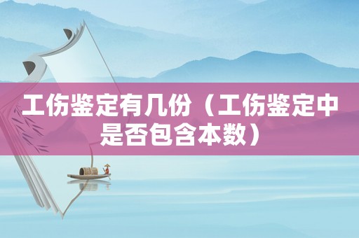工傷鑒定有幾份（工傷鑒定中是否包含本數）