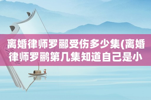 離婚律師羅酈受傷多少集(離婚律師羅鸝第幾集知道自己是小三)