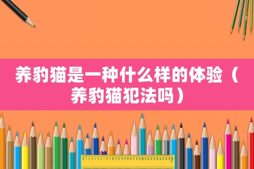 養豹貓是一種什么樣的體驗（養豹貓犯法嗎）