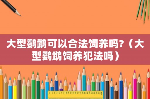 大型鸚鵡可以合法飼養(yǎng)嗎?（大型鸚鵡飼養(yǎng)犯法嗎）