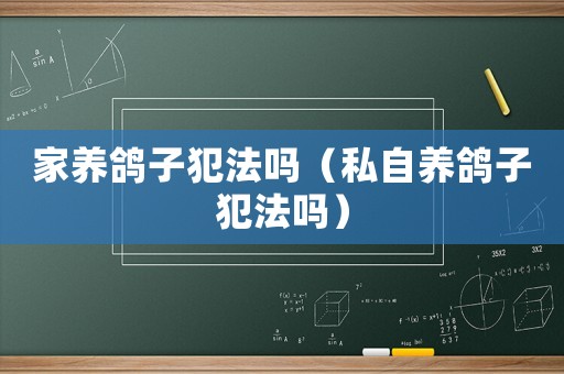 家養(yǎng)鴿子犯法嗎（私自養(yǎng)鴿子犯法嗎）