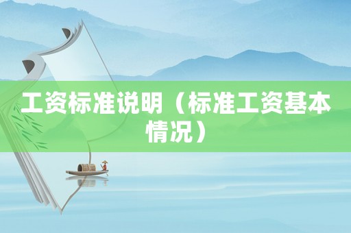 工資標準說明（標準工資基本情況）