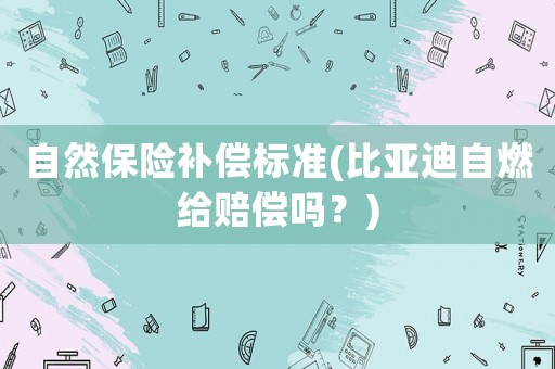自然保險補償標準(比亞迪自燃給賠償嗎？)