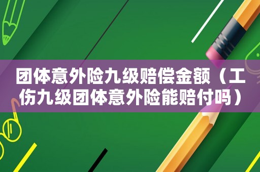 團體意外險九級賠償金額（工傷九級團體意外險能賠付嗎）