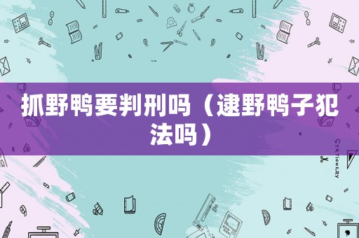 抓野鴨要判刑嗎（逮野鴨子犯法嗎）