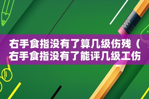 右手食指沒(méi)有了算幾級(jí)傷殘（右手食指沒(méi)有了能評(píng)幾級(jí)工傷）