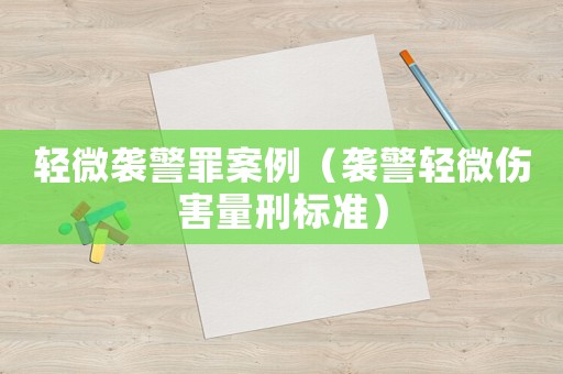 輕微襲警罪案例（襲警輕微傷害量刑標準）