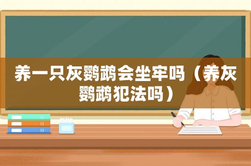養一只灰鸚鵡會坐牢嗎（養灰鸚鵡犯法嗎）
