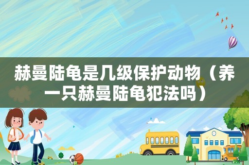 赫曼陸龜是幾級(jí)保護(hù)動(dòng)物（養(yǎng)一只赫曼陸龜犯法嗎）