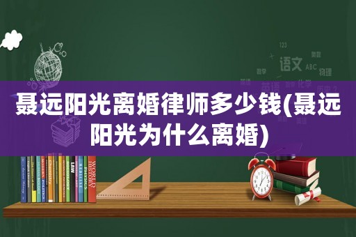 聶遠陽光離婚律師多少錢(聶遠陽光為什么離婚)