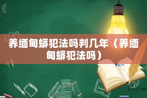 養(yǎng)緬甸蟒犯法嗎判幾年（養(yǎng)緬甸蟒犯法嗎）