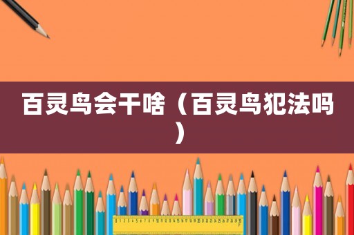 百靈鳥會干啥（百靈鳥犯法嗎）
