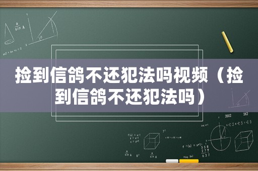撿到信鴿不還犯法嗎視頻（撿到信鴿不還犯法嗎）