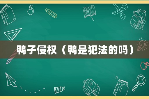 鴨子侵權（鴨是犯法的嗎）