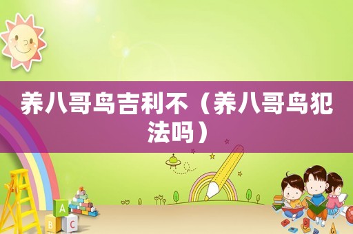 養(yǎng)八哥鳥(niǎo)吉利不（養(yǎng)八哥鳥(niǎo)犯法嗎）